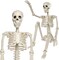 2PCS 3FT Halloween Skeleton Decorations, 36" Full Body Halloween Posable Joints Skeleton, Plastic Realistic Human Bones Prop for Halloween Party, Yard Lawn Haunted House Indoor Outdoor Decoration